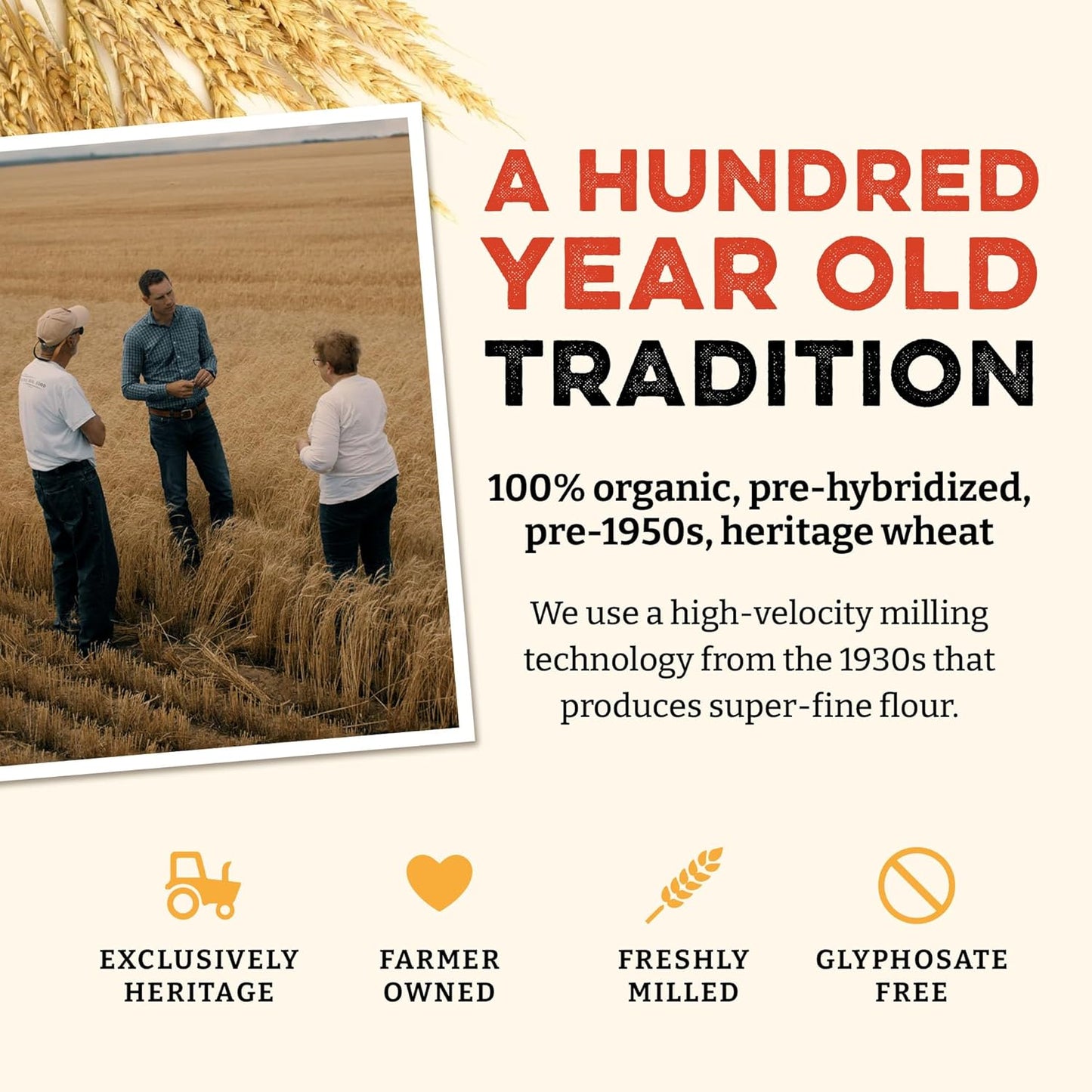 Sunrise Flour Mill Heritage Organic Bread Flour Blend - 25 lbs | Organic Unbleached Bread Flour Easy to Digest with Less Bloating | High Protein, Superior Baking | Smooth, Nutty Flavor