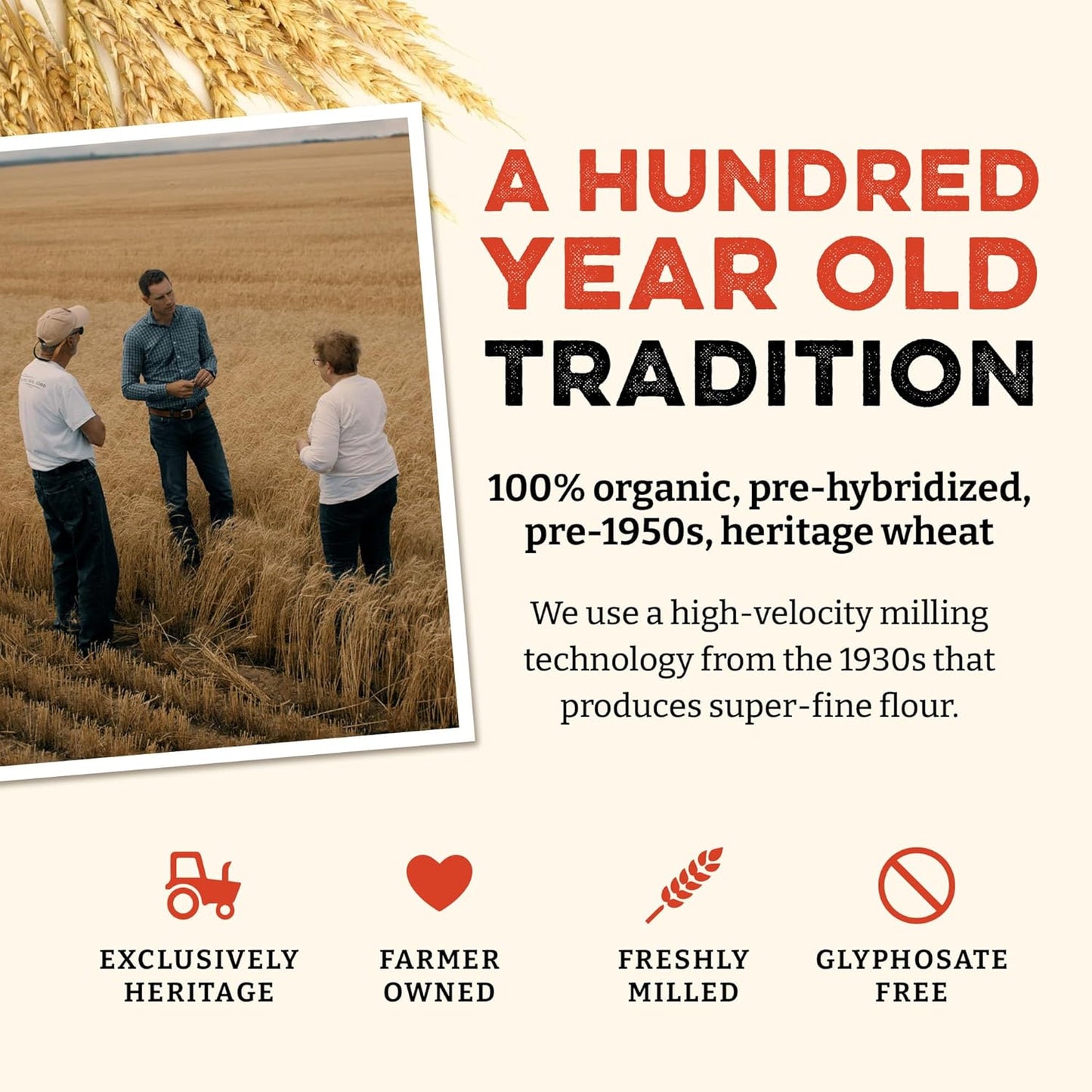 Sunrise Flour Mill Heritage Organic White Flour | USDA Organic All Purpose Flour Unbleached - Non-GMO, Kosher, Glyphosate Free, High Protein for Baking, Unbromated White Wheat (80 Ounce (Pack of 1))