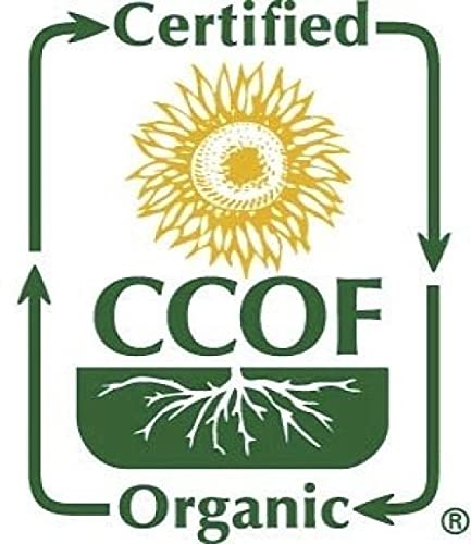 McCabe Organic Oat Flour White - Oat Flour Organic | Rich with Fiber & Minerals | USDA and CCOF Certified | Product of USA | 2Lbs | Pack of 3