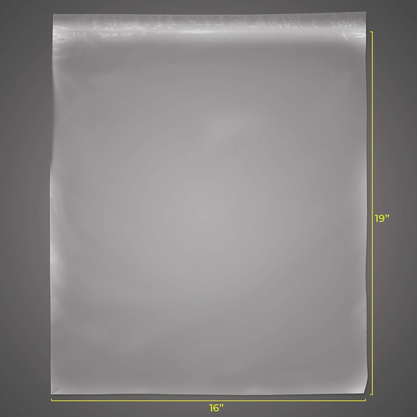 SNL Quality Zipper Lock Extra Large Jumbo Reclosable Clear Disposable Plastic Bags, Strong | 16" X 19" - 2 MIL - 100 Bags