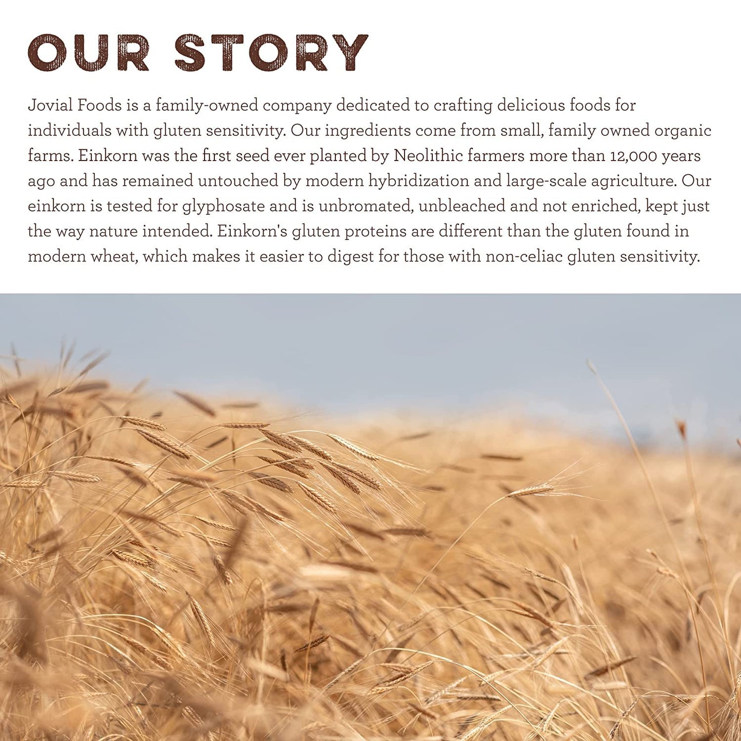 Jovial Organic Einkorn Unbleached All Purpose Flour - Bread Baking Flour for Sourdough, High Protein, Non-GMO, Organic Pizza & Pasta, European Italian, Glyphosate Free - 32 Oz, 2 Pack