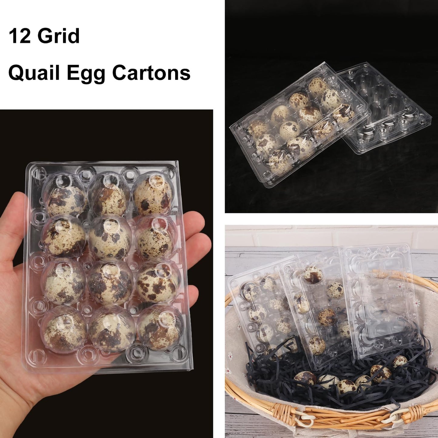 220 Pack Quail Egg Cartons, Clear Plastic Quail Egg Trays, Holds up to 12 Quail Eggs Securely - Your Ultimate Small Eggs Carton Holders for Bulk Storage and Display