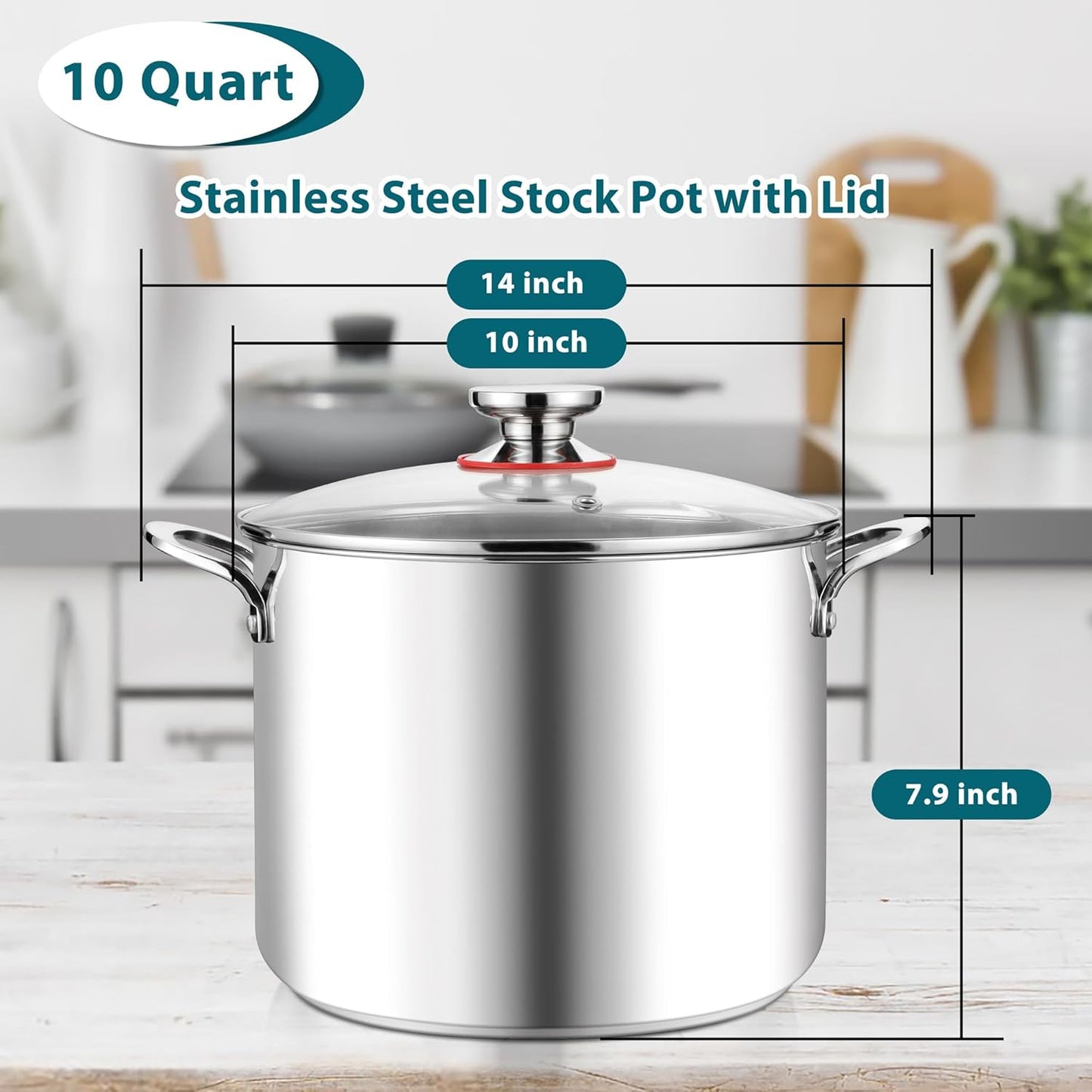 E-far 10 Quart Stock Pot, Large Tri-Ply Stainless Steel Soup Pot with Glass Lid and Riveted Handles, Tall Induction Cooking Pot for Canning/Simmering/Stewing, Heavy Duty & Dishwasher Safe