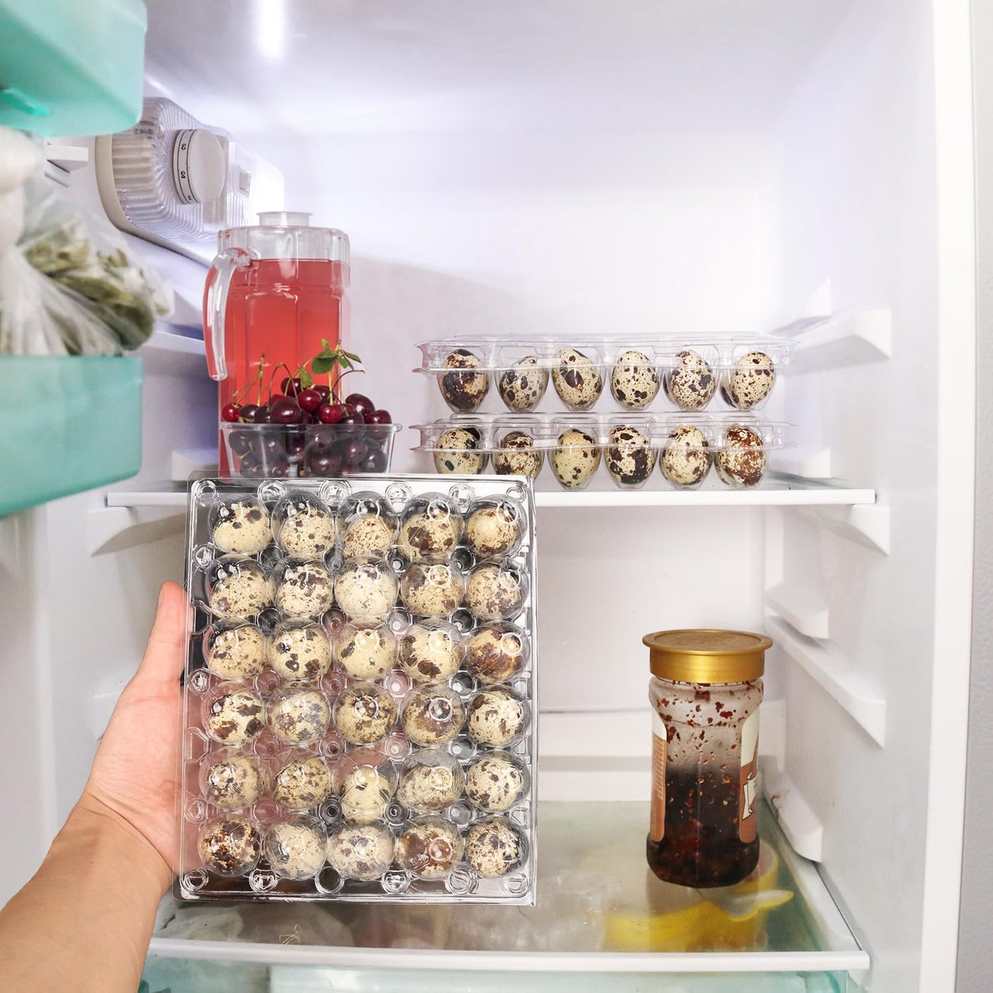 100 Pack Quail Egg Cartons, Clear Plastic Quail Egg Trays, Holds up to 30 Quail Eggs Securely - Your Ultimate Small Eggs Carton Holders for Bulk Storage and Display by KUKLIPJIM