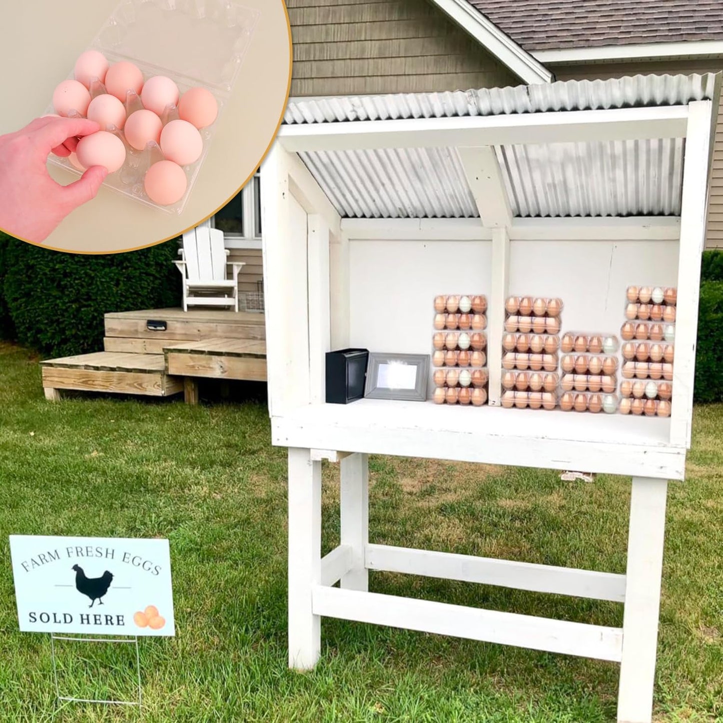 120 Pack Bulk Egg Cartons, Clear Plastic Chicken Egg Holders, Egg Tray Carton Holder for Home & Kitchen, Farm & Market Use, An Eco-Friendly Egg Storage Solution, 12 Grids