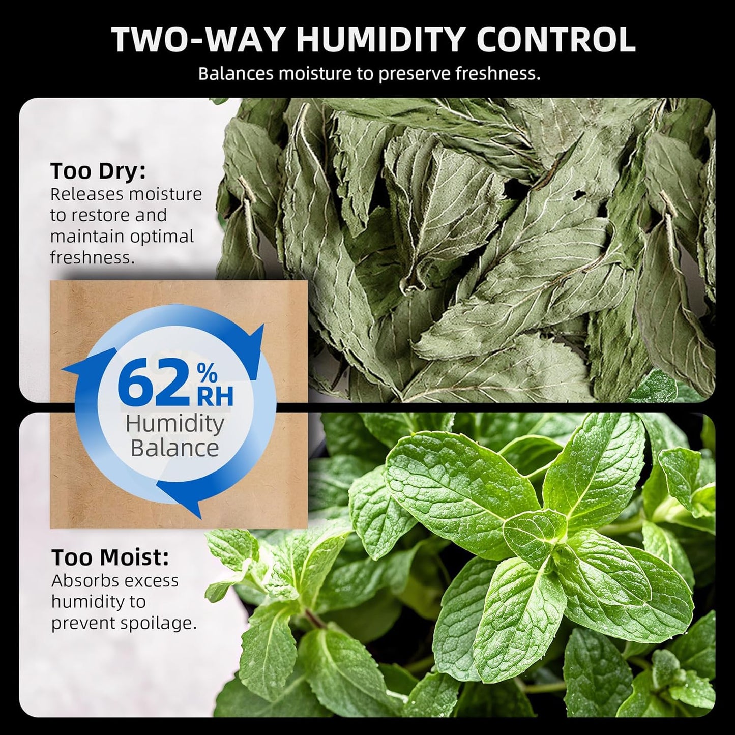 Spider Farmer New Auto-Cure Smart Jar, 2L Portable Vacuum Seal Container with 4 x 62% Humidity Packs, Curing Jar Airtight Storage for Herbs, Mushrooms, Coffee, Spices, Flowers