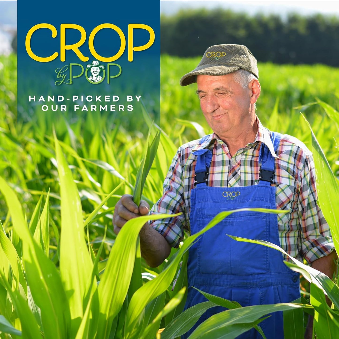 CROP BY POP - Organic Coconut Flour (16 Oz - 1 LB) Packed Fresh in Resealable Bag - USDA Organic, Non GMO - Naturally Grown, Vegan, Kosher