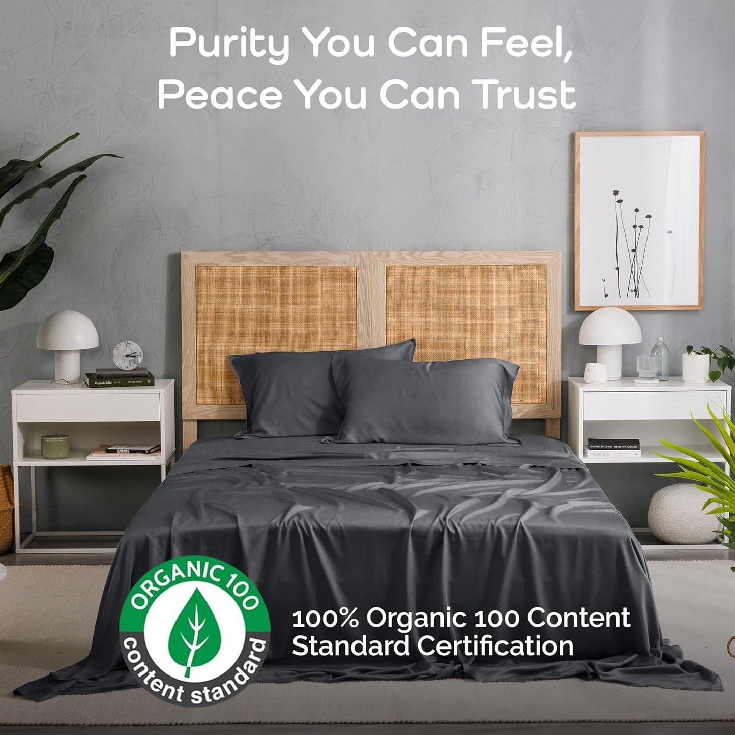 100% Viscose from Bamboo Sheets Queen Size, Super Soft Bedding Set, 4PC Cooling Sheets for Hot Sleepers, Vegan Silk Moisture Wicking, Organically Grown Bedsheet - Charcoal - 60" x 80"