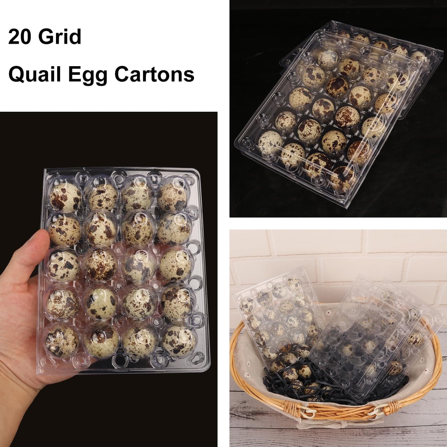 150 Pack Quail Egg Cartons, Clear Plastic Quail Egg Trays, Holds up to 20 Quail Eggs Securely - Your Ultimate Small Eggs Carton Holders for Bulk Storage and Display