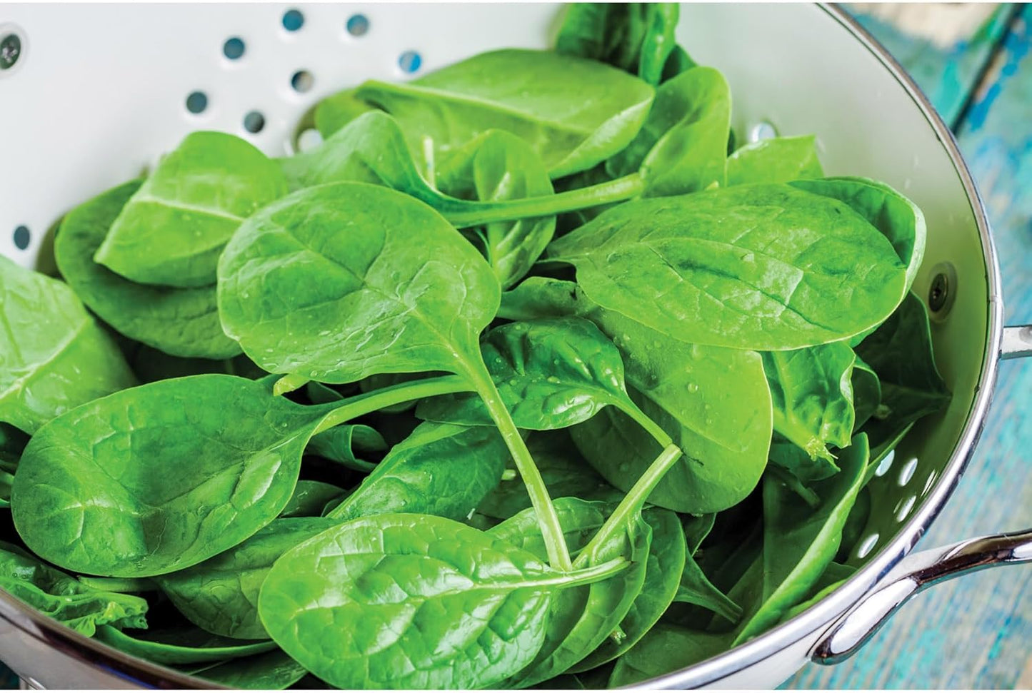 HIC Kitchen Pierced Colander, 18/8 Stainless Steel, 10-Inch Bowl, 5-Quart Capacity